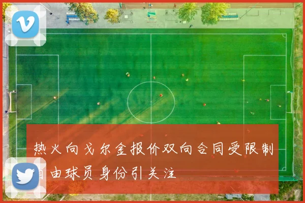 热火向戈尔金报价双向合同受限制自由球员身份引关注